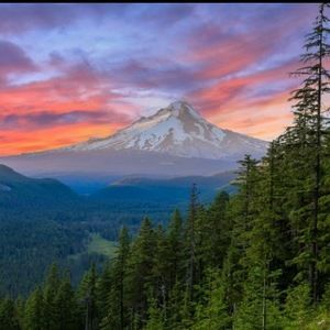 Meet your Posher, Matt